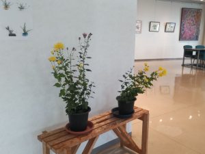 2025年10月30日　植物園6